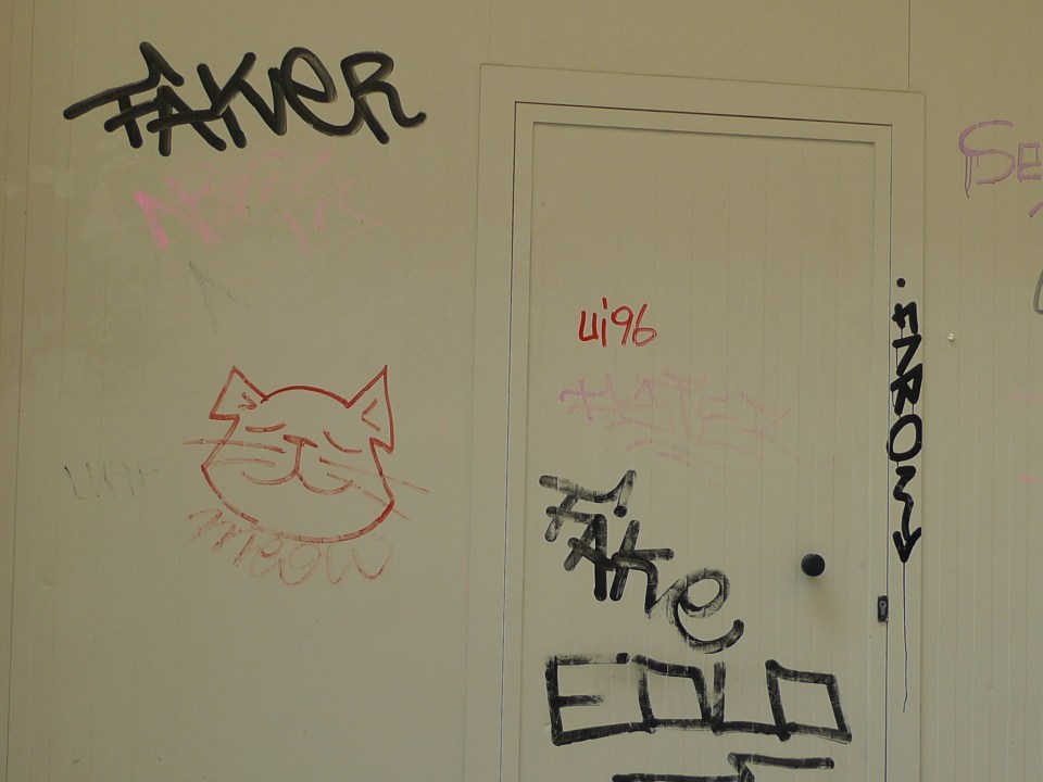 cat graffiti seville