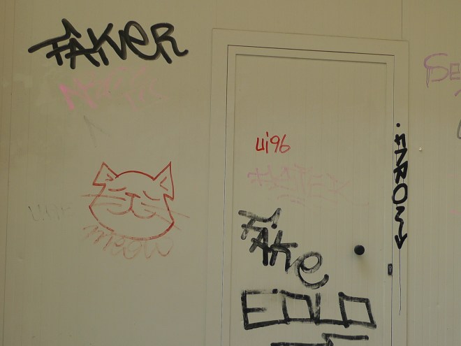 cat graffiti seville