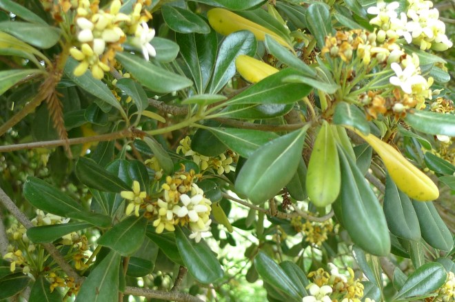 P1110524