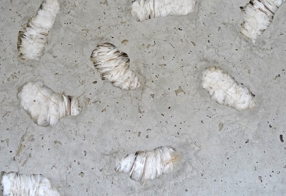 detail of work by Ann Goddard